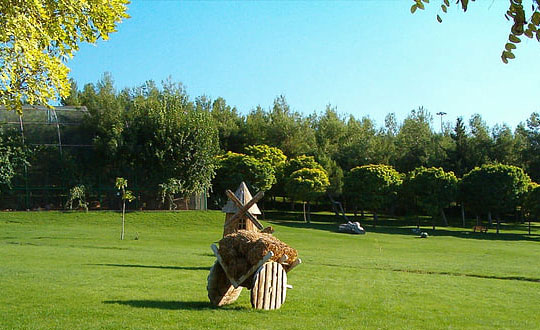 兔寶寶取名的思路 兔寶寶取名的思路