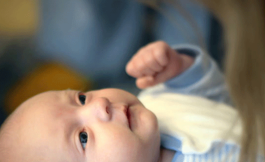 詩經取名,詩經中好聽的女孩名字