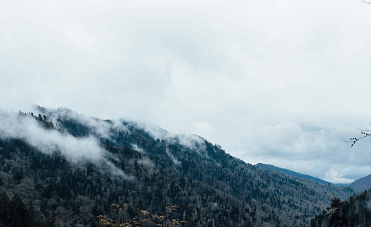 好的游戲名字大全之古風的游戲名字