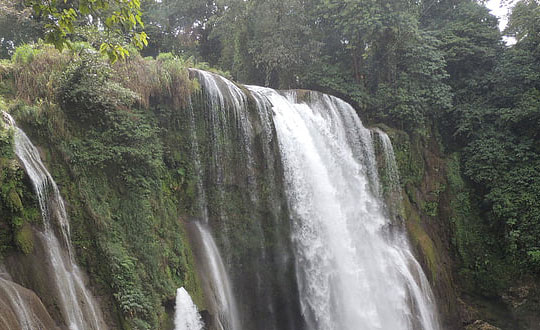 2020年福氣滿滿的狗年寶寶名字大全