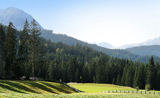 起名字女孩2021免費八字起名打分