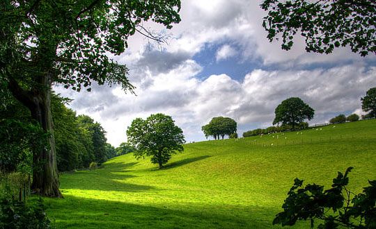 英文名字男孩霸氣(帶翻譯注釋)