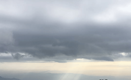 英文網名帶翻譯大全