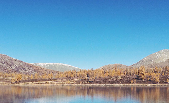 最好聽唯美的女孩名字大全:儒雅洋氣