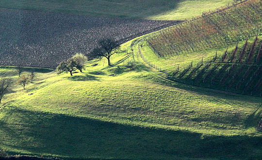  溫柔又好聽的女孩寶寶名字大全：唯美大氣