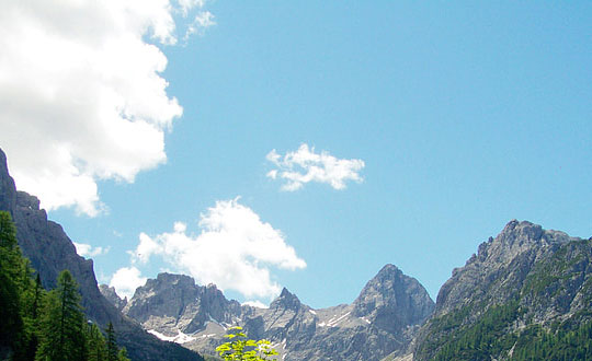 馬姓名女孩起名三個字 女孩姓馬取獨特的名字：內涵有寓意