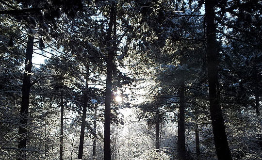 女寶寶起名時尚洋氣有寓意:內涵字推薦