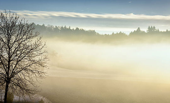 張姓女孩起名簡單點的 姓張的女孩名字好聽洋氣:唯美有詩意