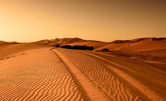 詩經楚辭取名女孩名字大全：起名思路和方式