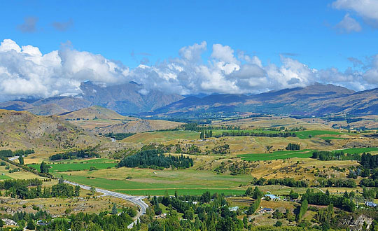 屬豬取名宜用什么字:起名方式和思路