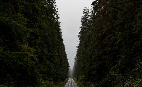 怎樣取名字內涵文雅 嬰兒取名字大全免費:起名小技巧