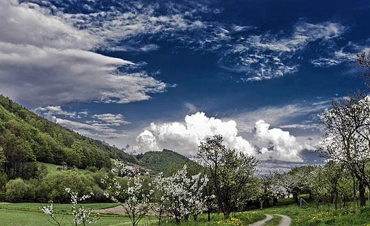  好聽的孩名字有哪些,評分高的女孩名字大全：唯美大氣