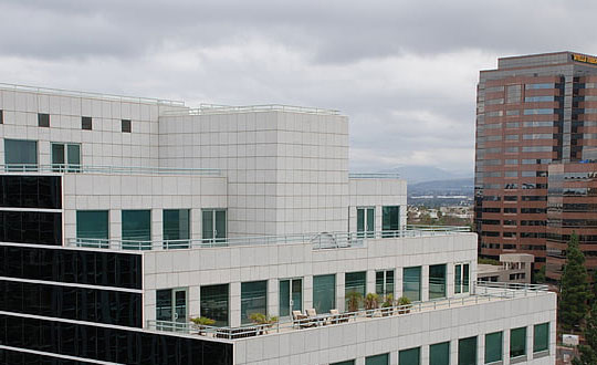 適合女孩起名的字,好聽不俗氣的女孩名字:高雅有寓意