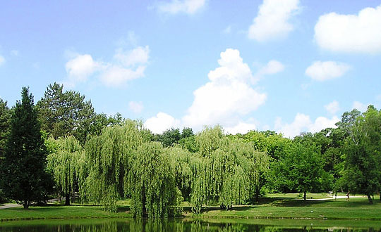 女孩名字大全2020屬豬,好聽大氣的女孩名字大全:起名思路和方式