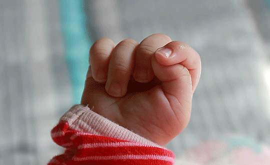 寵物網站起什么名字好聽