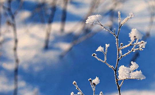 英文取名字大全免費