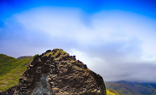 給小男孩取名 男孩名字洋氣點(diǎn)的:唯美經(jīng)典字