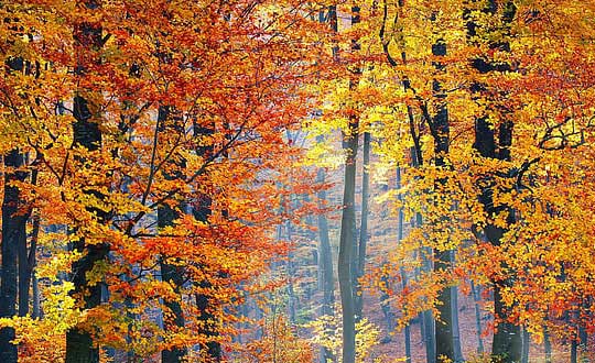 給男孩子取名內涵洋氣有個性:取名小訣竅