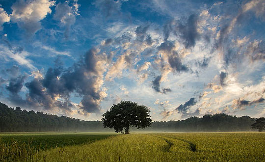 高雅有詩意的男孩名字大全:清新脫俗
