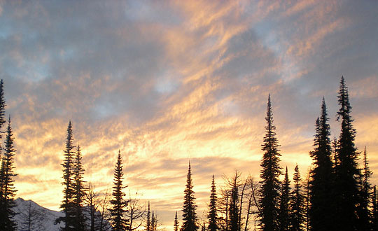 內涵經典的楚辭男孩名字大全集:起名思路和方法