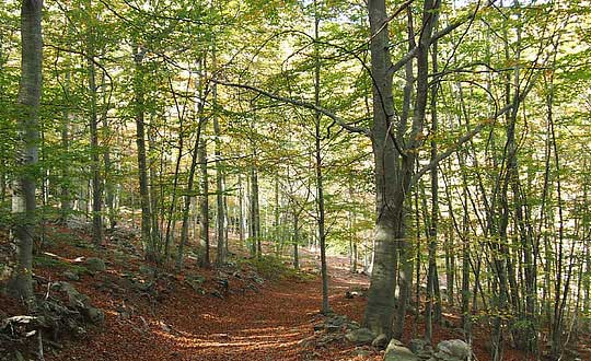 響亮的男孩名字,男孩取名字大全帶寓意:經(jīng)典時尚