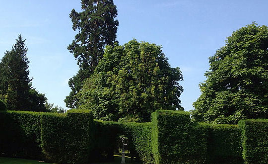 那些藏在古詩(shī)詞里的好名字