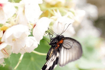 邵姓好聽的名字大全，邵家人趕緊收藏！