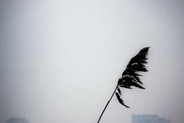 電視劇去有風(fēng)的地方經(jīng)典語錄大全，優(yōu)秀臺(tái)詞