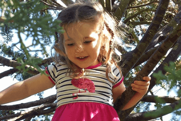 詩經里比較有意思的名字之網友問答