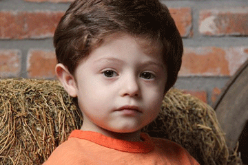 甄子丹怒斥外媒不報道真實中國、甄子丹名字打分，解析