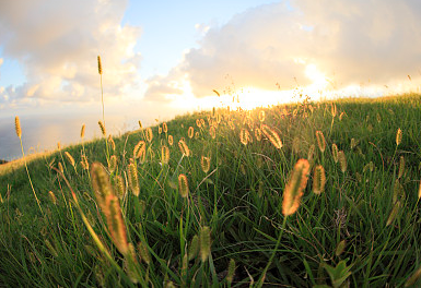 大氣有涵養的微信昵稱游戲網名