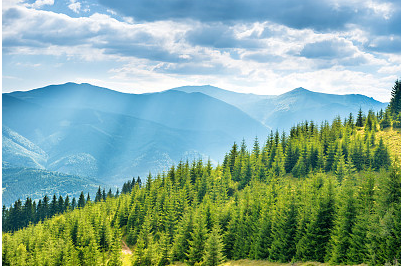 一眼驚鴻,小眾網(wǎng)名昵稱