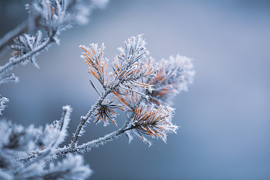 避免撞車的浪漫網名