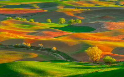 情緒化ID ,一眨眼就破碎