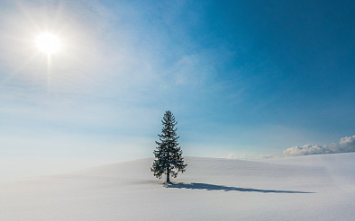 高雅不凡的公司名,容易發財的公司名字