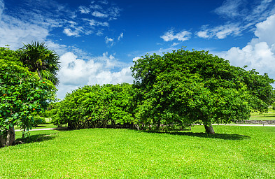 好聽的英文商標名字