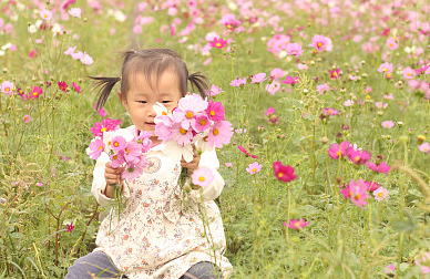 2024龍年命帶富貴的龍寶寶名字,個個好運連連!