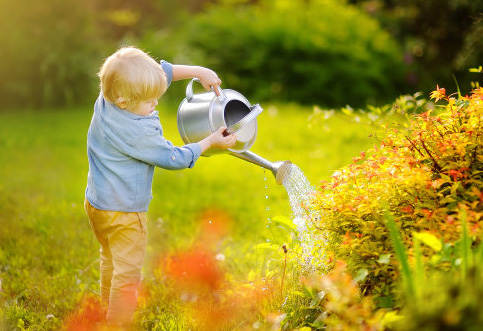 生僻卻美到爆的名字男，24年的龍寶寶高分名字分享