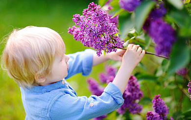 起名必看！出自《山海經》中仙氣繚繞的男孩好名字