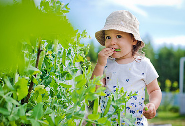 用《詩經》取個寓意大氣的女孩名字到底有多美,你絕對想不到!