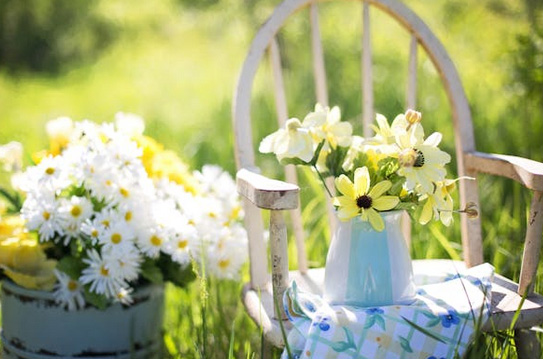 寶寶起名丨藏在【詩經】一兒一女驚艷歲月的寶寶名字