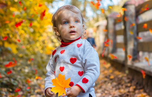 2025莫姓好聽稀少的女孩名字有哪些？