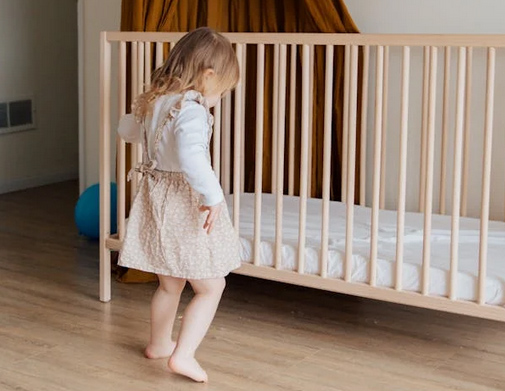 取自詩(shī)經(jīng)中越念越好聽的寶寶小名分享