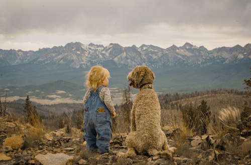男孩起名，楊姓男孩取名豪爽大氣
