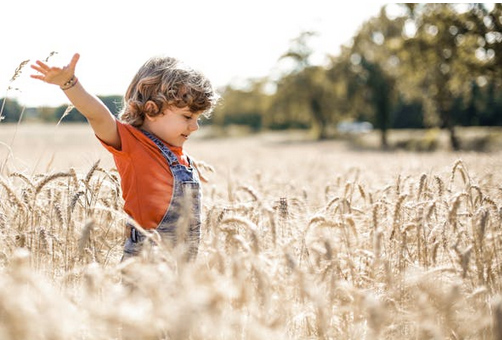 姓焦應(yīng)該取啥名，看看姓焦的大氣溫柔的名字推薦