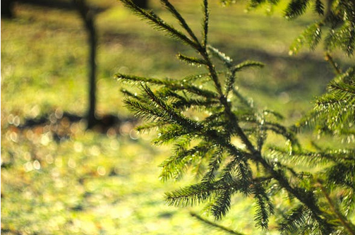 網(wǎng)名丨越叫越順的微信昵稱(chēng)