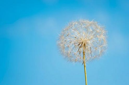 分享46個一輩子不想換的網名可愛的(2025版)