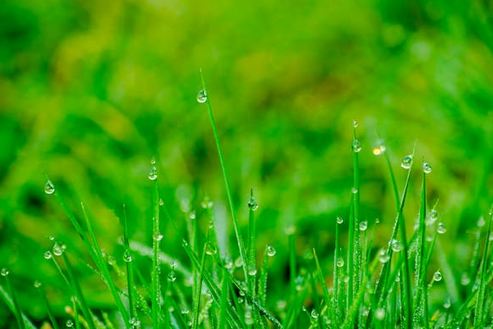 聽(tīng)了就忘不掉!有記憶點(diǎn)的店名推薦