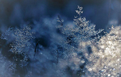 m.deftiku.cn 起名網(wǎng)免費起名圖片