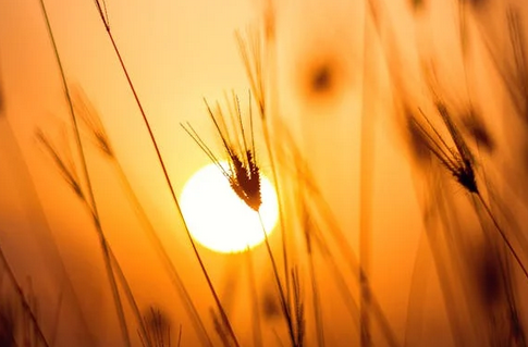 網名起名丨取一個沒人敢罵的網名